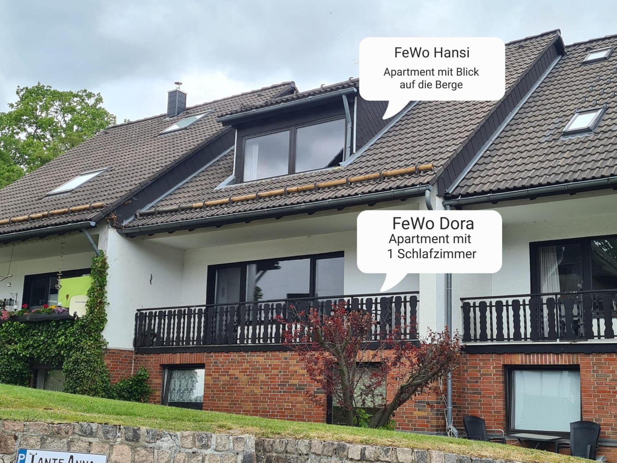 Ferienwohnungen Dora Und Hansi Braunlage Exterior foto